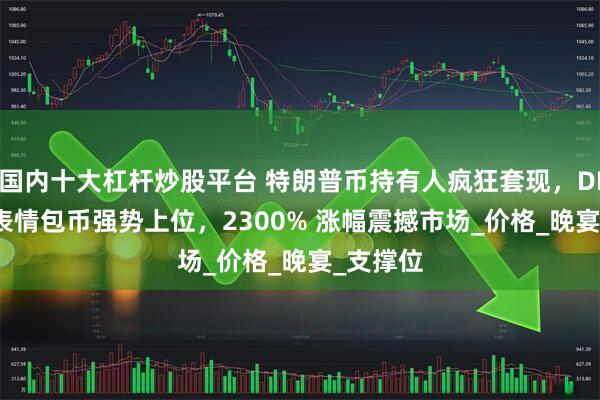 国内十大杠杆炒股平台 特朗普币持有人疯狂套现，DINNER 表情包币强势上位，2300% 涨幅震撼市场_价格_晚宴_支撑位