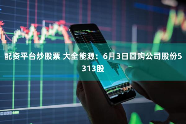 配资平台炒股票 大全能源：6月3日回购公司股份5313股