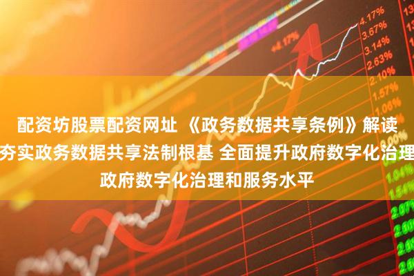 配资坊股票配资网址 《政务数据共享条例》解读｜王钦敏：夯实政务数据共享法制根基 全面提升政府数字化治理和服务水平