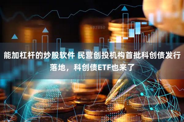 能加杠杆的炒股软件 民营创投机构首批科创债发行落地，科创债ETF也来了
